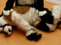 1264014922.vulky_dsc_0430.jpg